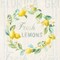 Floursack Lemon V Poster Print by Danhui Nai - Item # VARPDX45786